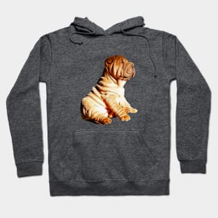 Shar Pei Cute Puppy Dog Hoodie